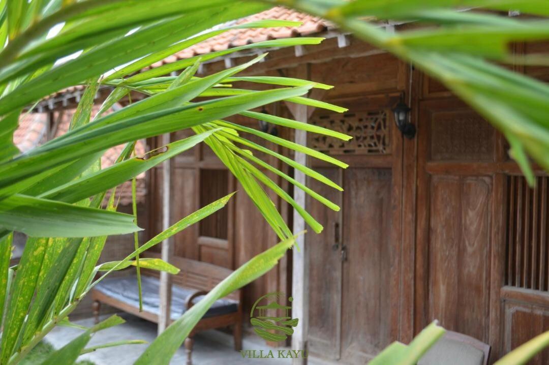 Villa Kayu יוגיאקרטה מראה חיצוני תמונה