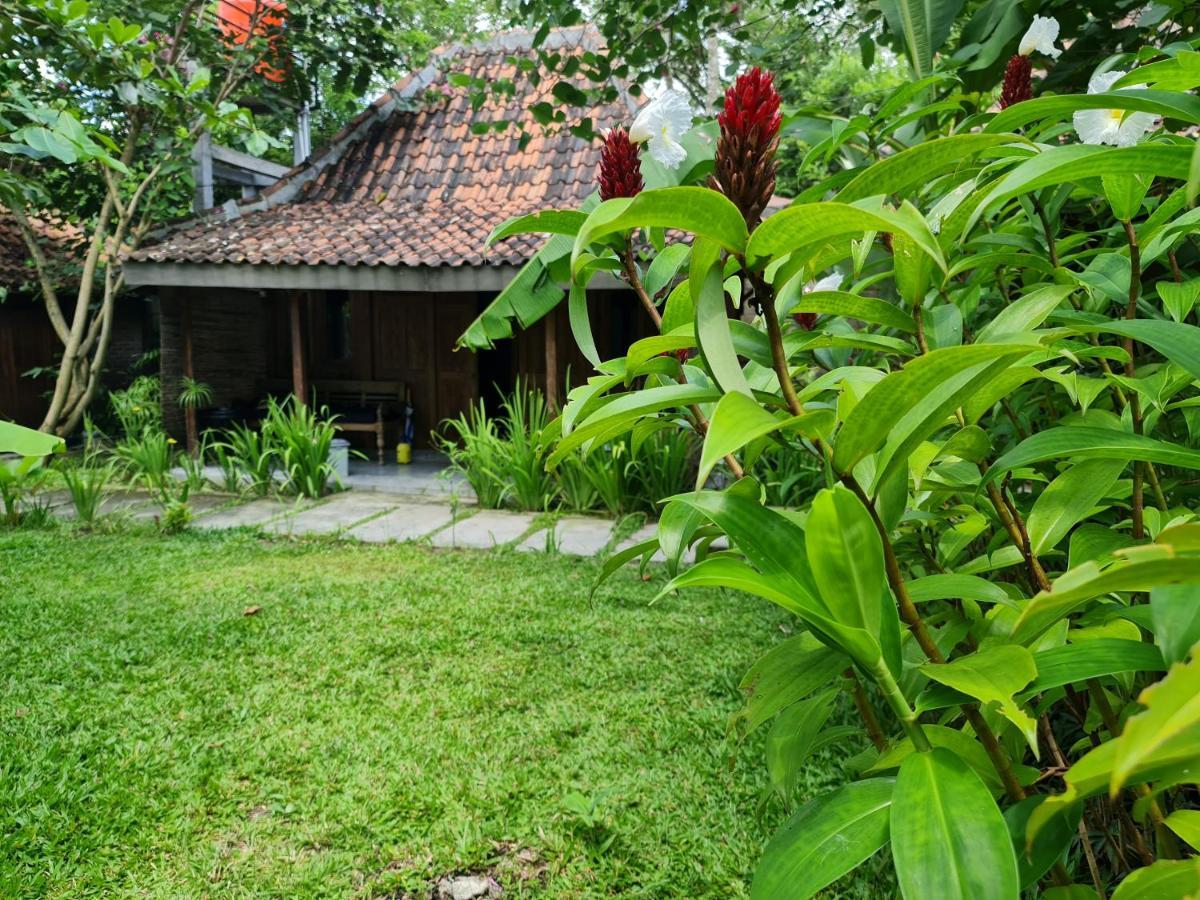 Villa Kayu יוגיאקרטה מראה חיצוני תמונה