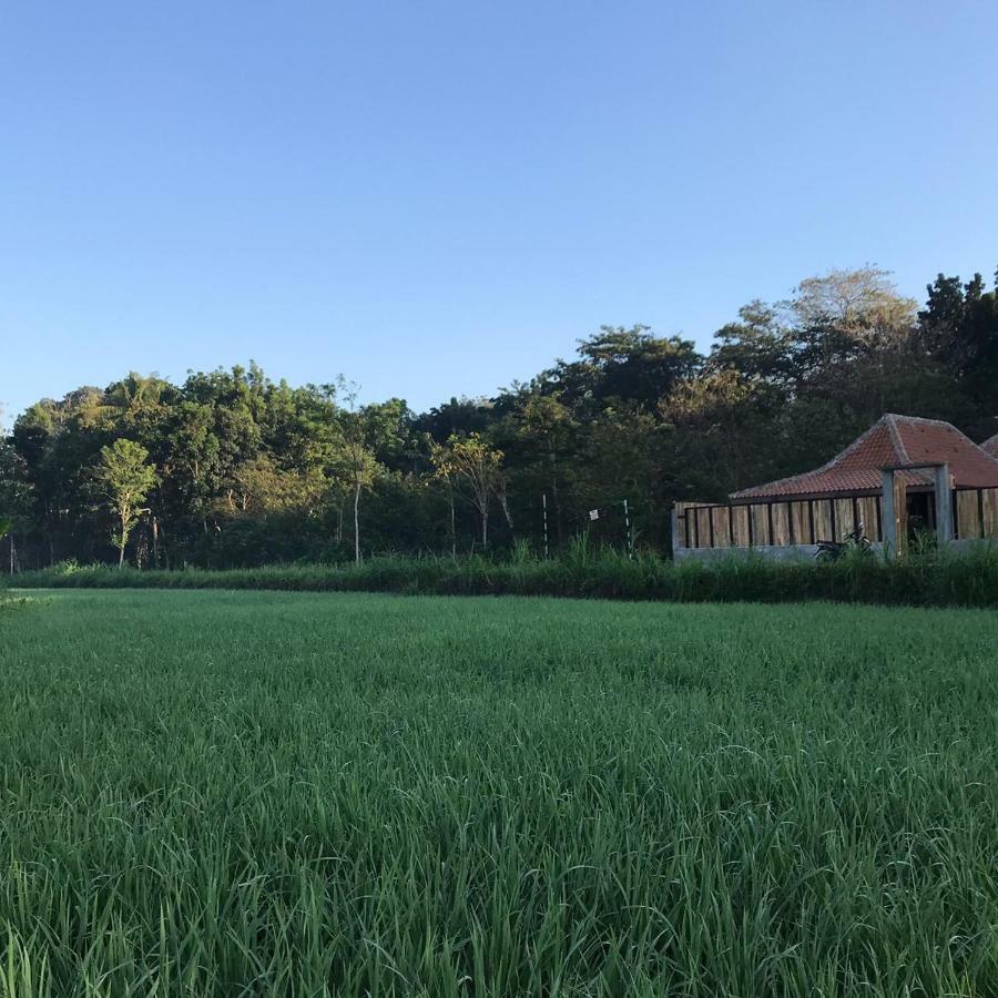 Villa Kayu יוגיאקרטה מראה חיצוני תמונה